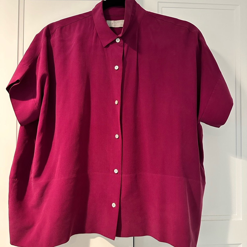 Everlane Pink Button Down Shirt Relaxed Fit